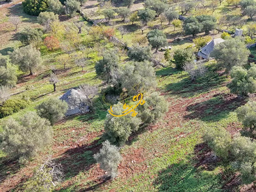 Immagine 17 di Rustico / casale in vendita  in St. Selva di Fasano a Castellana Grotte