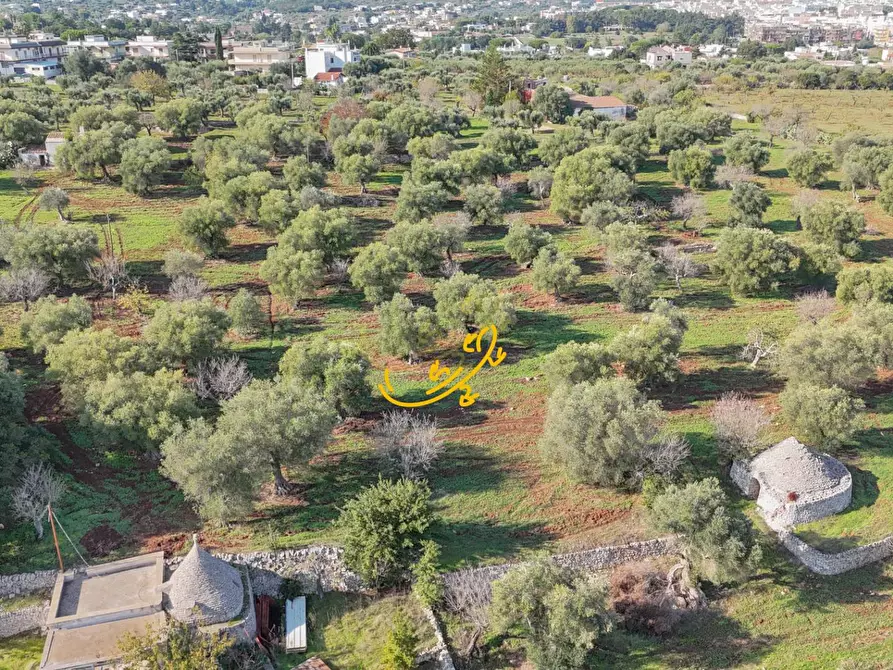 Immagine 18 di Rustico / casale in vendita  in St. Selva di Fasano a Castellana Grotte