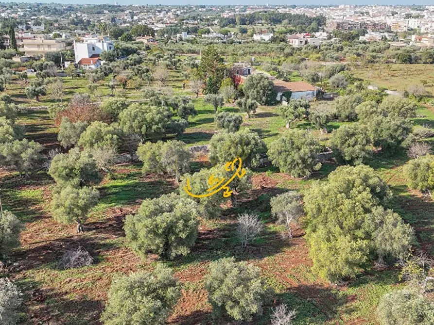 Immagine 19 di Rustico / casale in vendita  in St. Selva di Fasano a Castellana Grotte