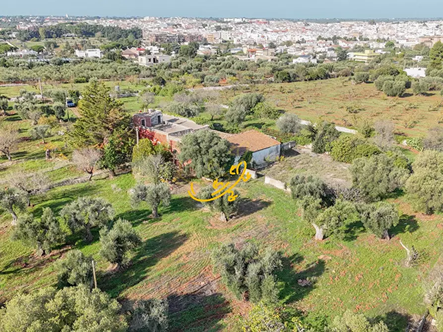 Immagine 20 di Rustico / casale in vendita  in St. Selva di Fasano a Castellana Grotte
