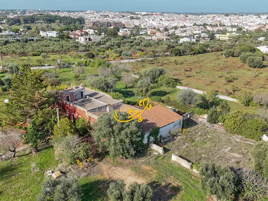 Immagine 21 di Rustico / casale in vendita  in St. Selva di Fasano a Castellana Grotte