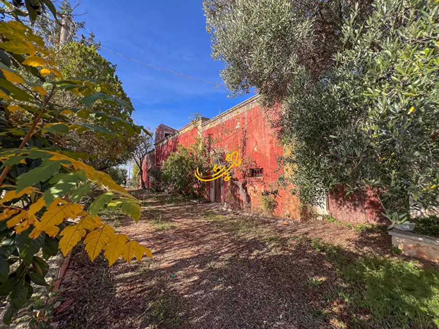 Immagine 22 di Rustico / casale in vendita  in St. Selva di Fasano a Castellana Grotte
