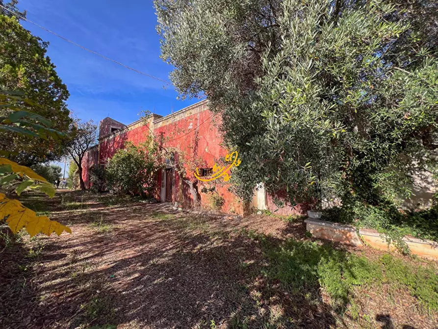 Immagine 23 di Rustico / casale in vendita  in St. Selva di Fasano a Castellana Grotte