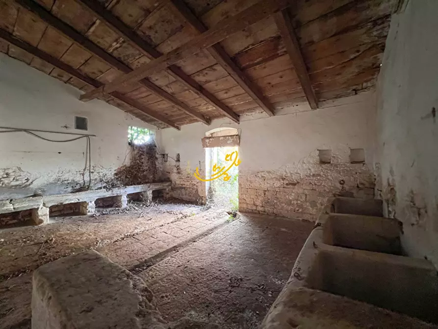Immagine 37 di Rustico / casale in vendita  in St. Selva di Fasano a Castellana Grotte