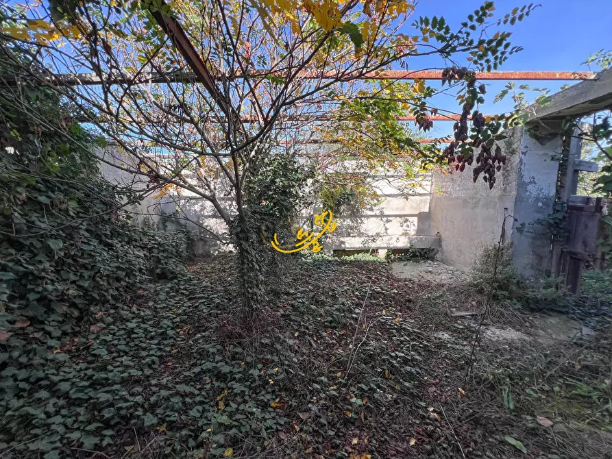 Immagine 38 di Rustico / casale in vendita  in St. Selva di Fasano a Castellana Grotte