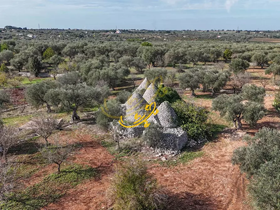 Immagine 3 di Baita in vendita  in St. Cordone a Castellana Grotte