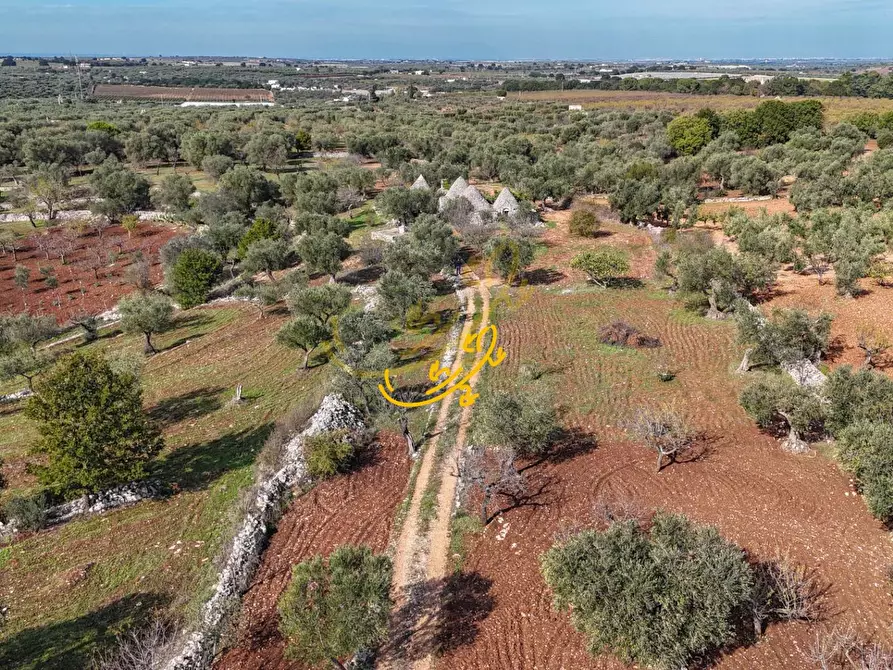 Immagine 9 di Baita in vendita  in St. Cordone a Castellana Grotte