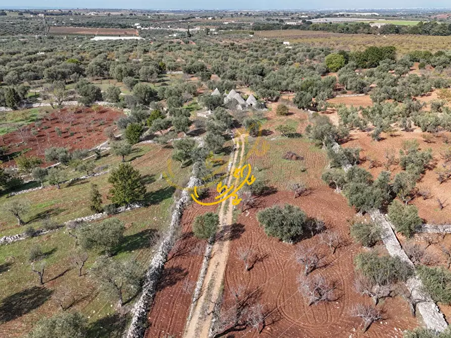 Immagine 10 di Baita in vendita  in St. Cordone a Castellana Grotte