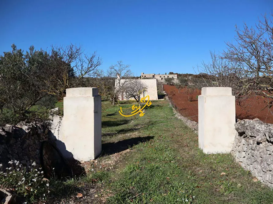 Immagine 5 di Rustico / casale in vendita  in C.da Mangiatello a Martina Franca