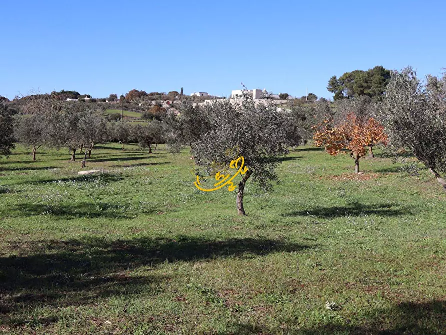 Immagine 17 di Rustico / casale in vendita  in C.da Mangiatello a Martina Franca