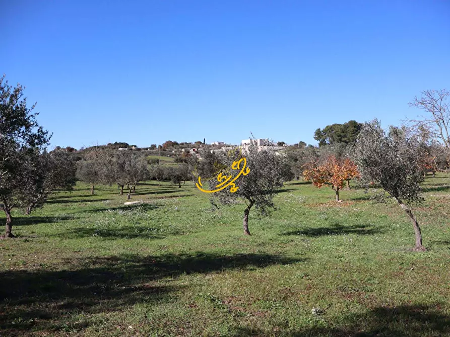 Immagine 19 di Rustico / casale in vendita  in C.da Mangiatello a Martina Franca