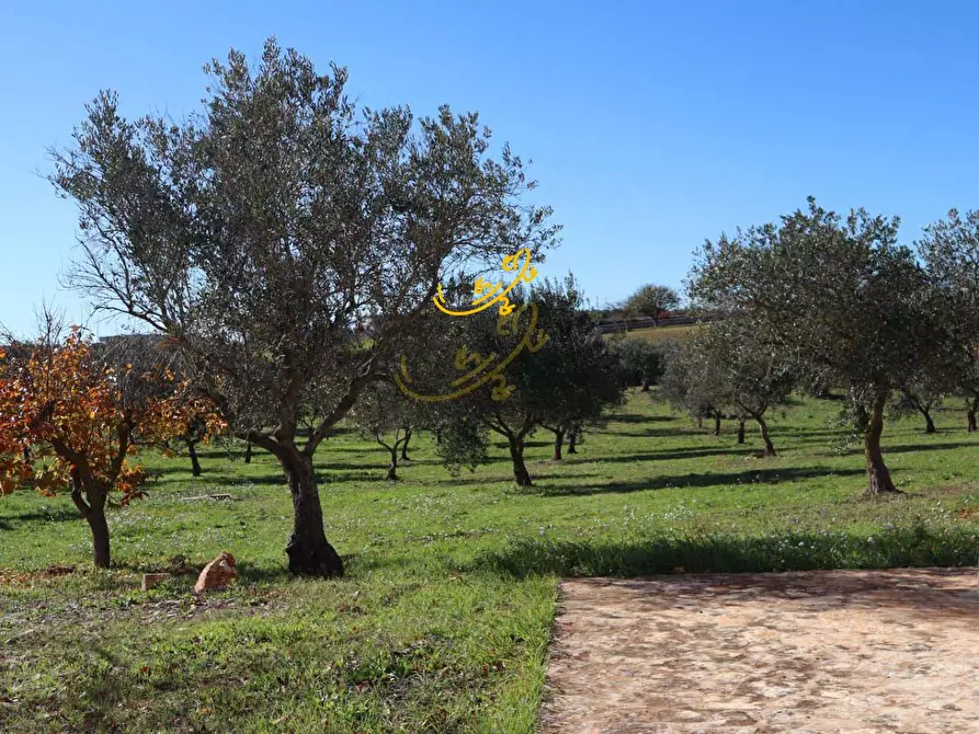 Immagine 20 di Rustico / casale in vendita  in C.da Mangiatello a Martina Franca