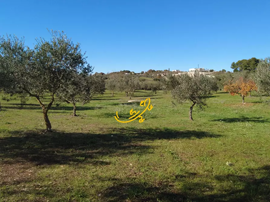 Immagine 21 di Rustico / casale in vendita  in C.da Mangiatello a Martina Franca