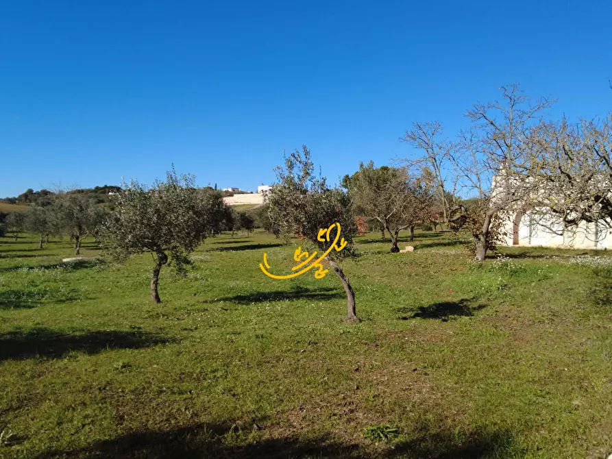Immagine 22 di Rustico / casale in vendita  in C.da Mangiatello a Martina Franca