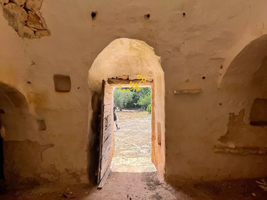 Immagine 24 di Baita in vendita  in Contrada Cuoco a Martina Franca