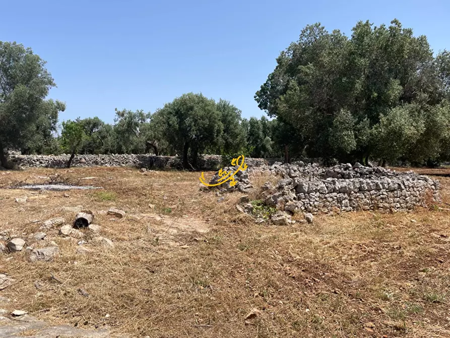 Immagine 43 di Baita in vendita  in Contrada Cuoco a Martina Franca