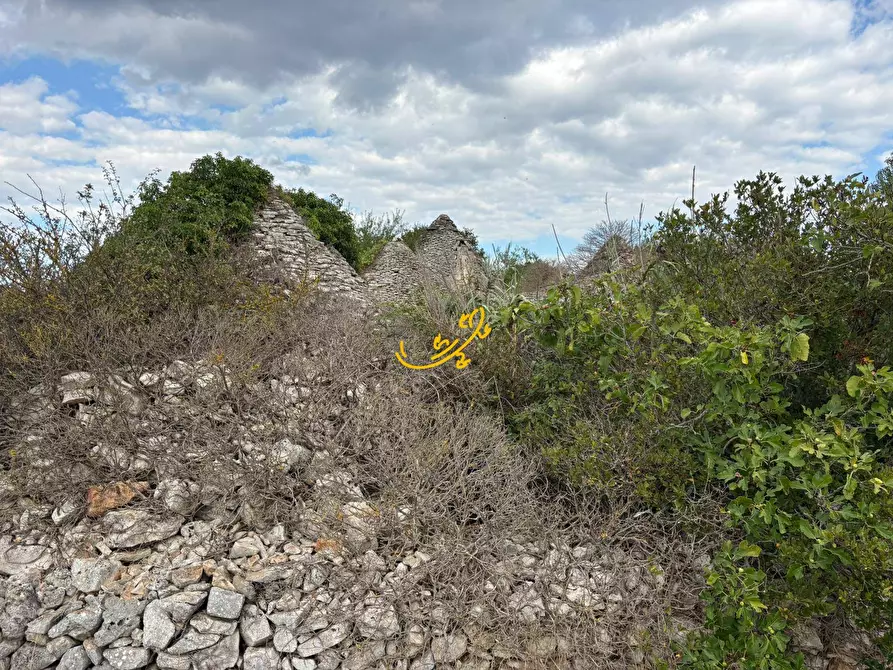 Immagine 5 di Baita in vendita  in Contrada Scarcioppola a Noci