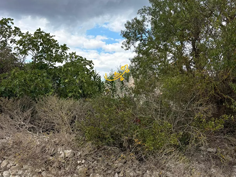 Immagine 7 di Baita in vendita  in Contrada Scarcioppola a Noci