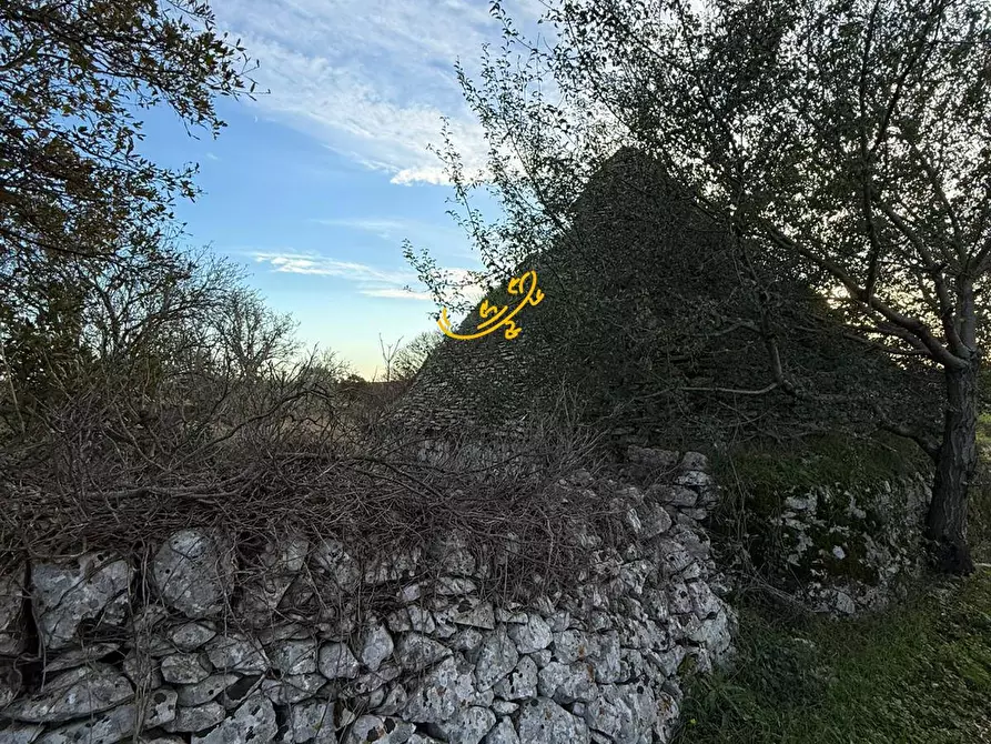 Immagine 23 di Baita in vendita  in Contrada Scarcioppola a Noci