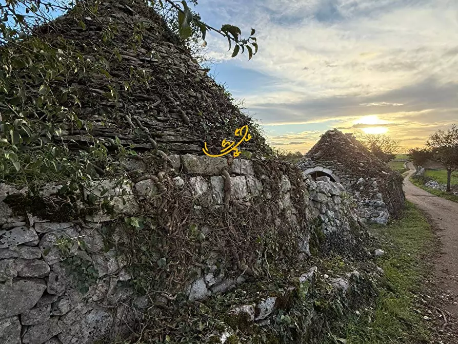 Immagine 26 di Baita in vendita  in Contrada Scarcioppola a Noci