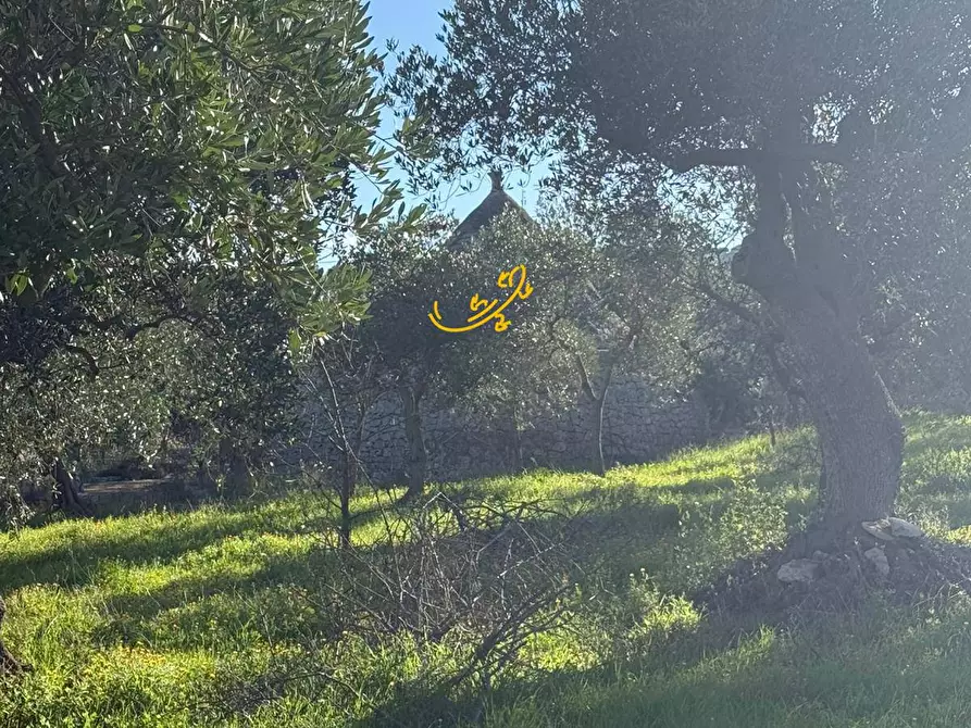 Immagine 2 di Baita in vendita  in Strada Comunale Monte Della Vecchia a Polignano A Mare