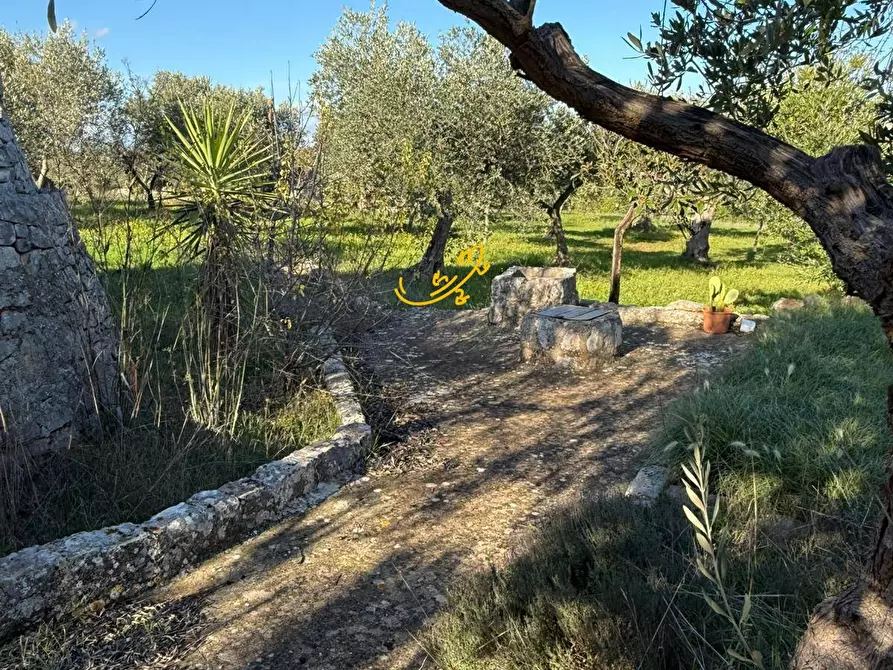 Immagine 3 di Baita in vendita  in Strada Comunale Monte Della Vecchia a Polignano A Mare