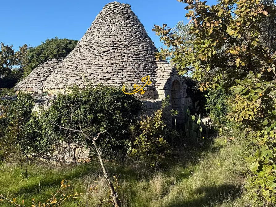 Immagine 4 di Baita in vendita  in Strada Comunale Monte Della Vecchia a Polignano A Mare