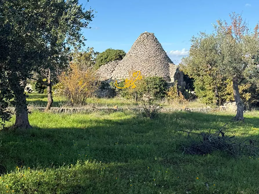 Immagine 5 di Baita in vendita  in Strada Comunale Monte Della Vecchia a Polignano A Mare