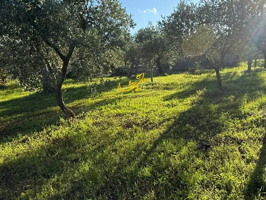 Immagine 7 di Baita in vendita  in Strada Comunale Monte Della Vecchia a Polignano A Mare