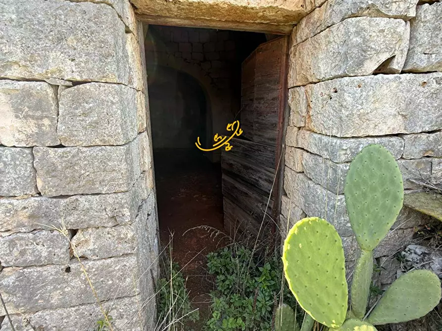 Immagine 10 di Baita in vendita  in Strada Comunale Monte Della Vecchia a Polignano A Mare