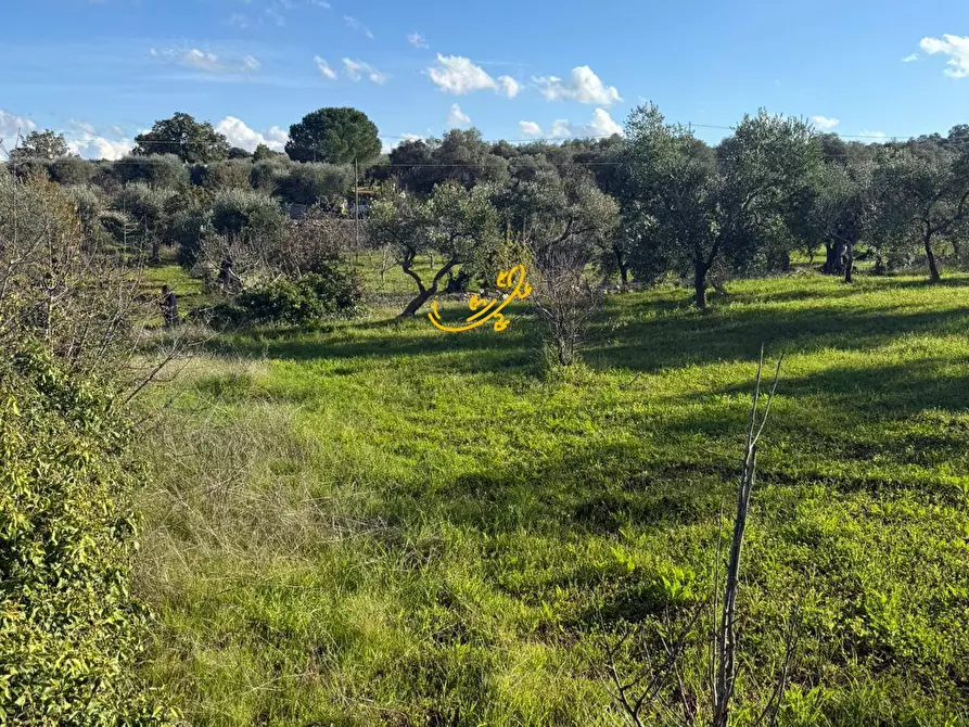 Immagine 11 di Baita in vendita  in Strada Comunale Monte Della Vecchia a Polignano A Mare