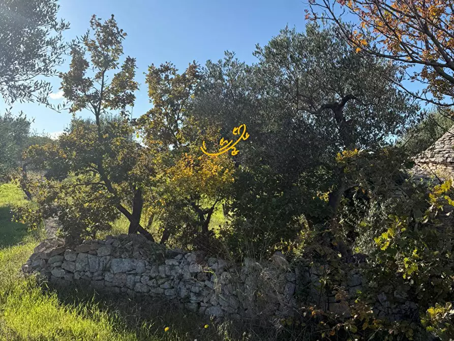 Immagine 12 di Baita in vendita  in Strada Comunale Monte Della Vecchia a Polignano A Mare