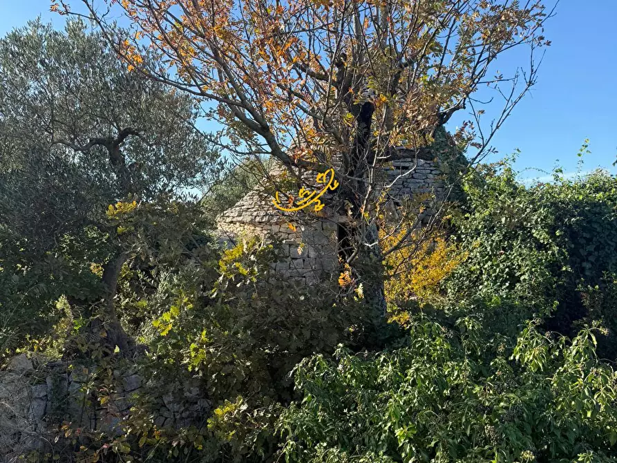 Immagine 13 di Baita in vendita  in Strada Comunale Monte Della Vecchia a Polignano A Mare