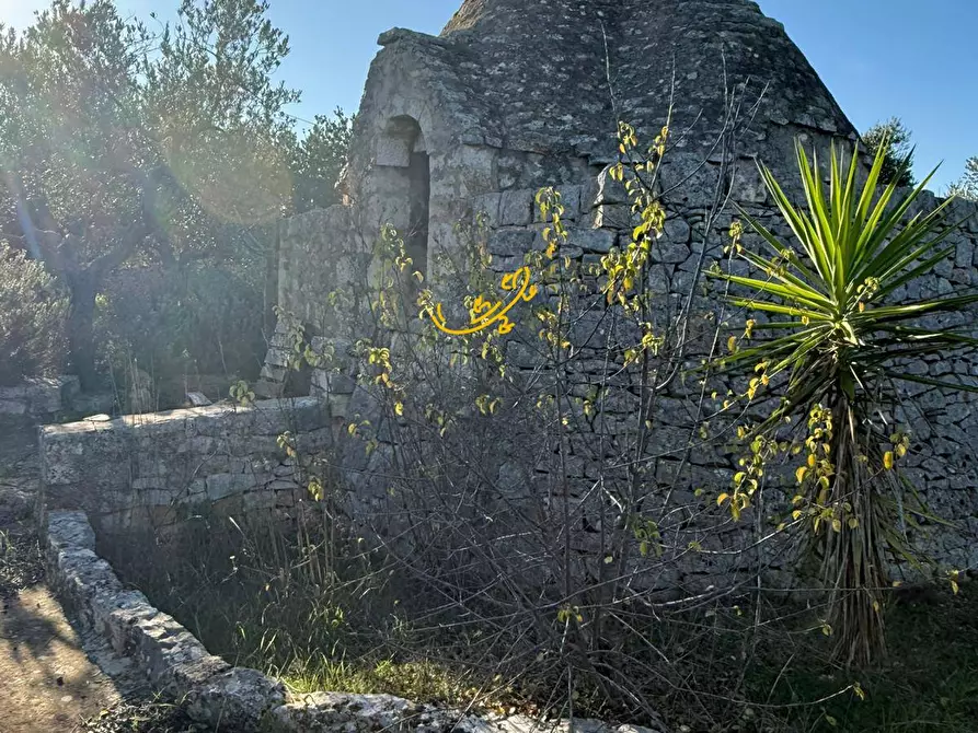 Immagine 14 di Baita in vendita  in Strada Comunale Monte Della Vecchia a Polignano A Mare