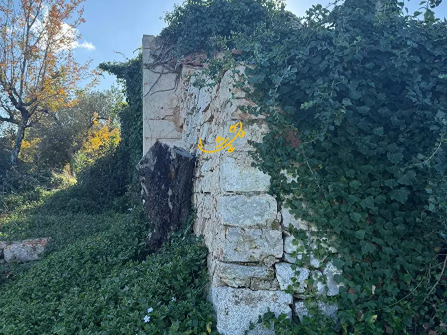Immagine 15 di Baita in vendita  in Strada Comunale Monte Della Vecchia a Polignano A Mare