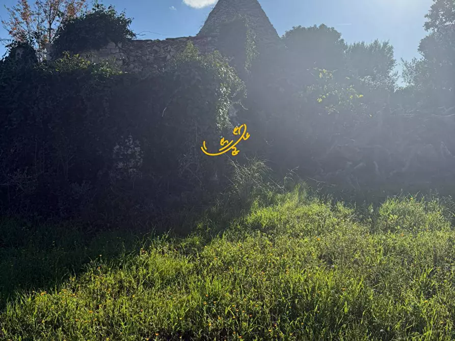 Immagine 16 di Baita in vendita  in Strada Comunale Monte Della Vecchia a Polignano A Mare