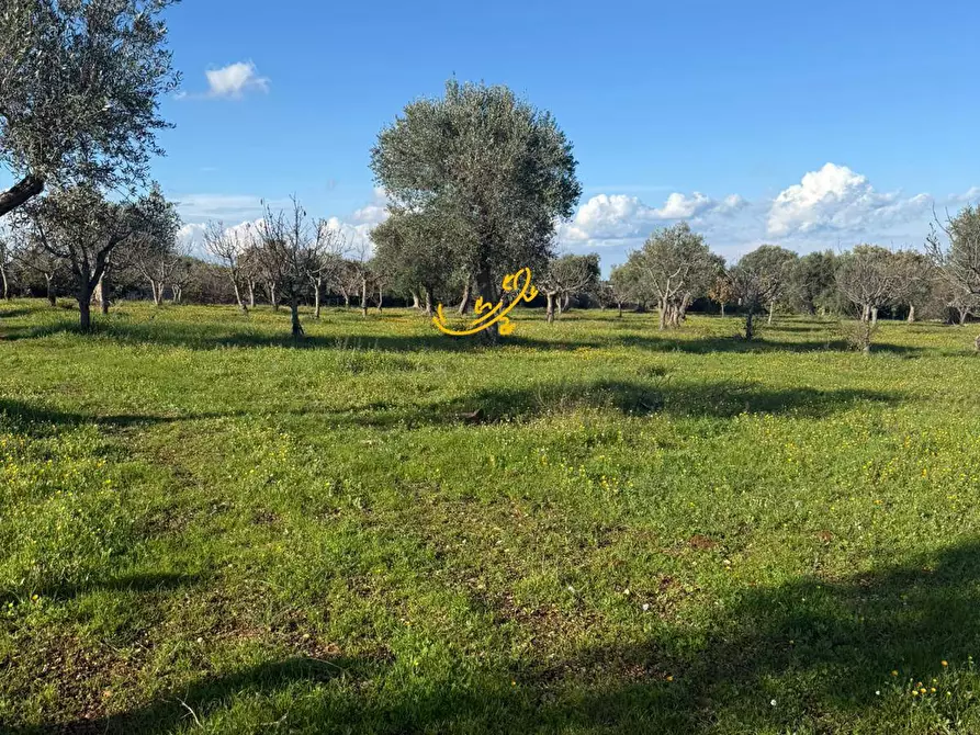 Immagine 18 di Baita in vendita  in Strada Comunale Monte Della Vecchia a Polignano A Mare