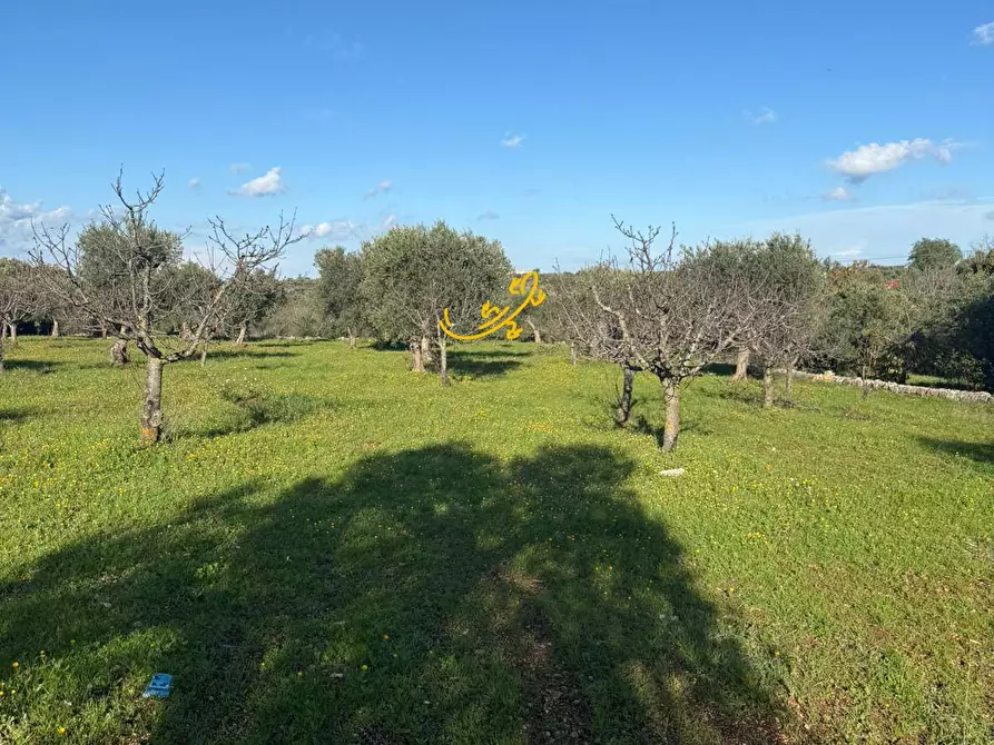 Immagine 19 di Baita in vendita  in Strada Comunale Monte Della Vecchia a Polignano A Mare