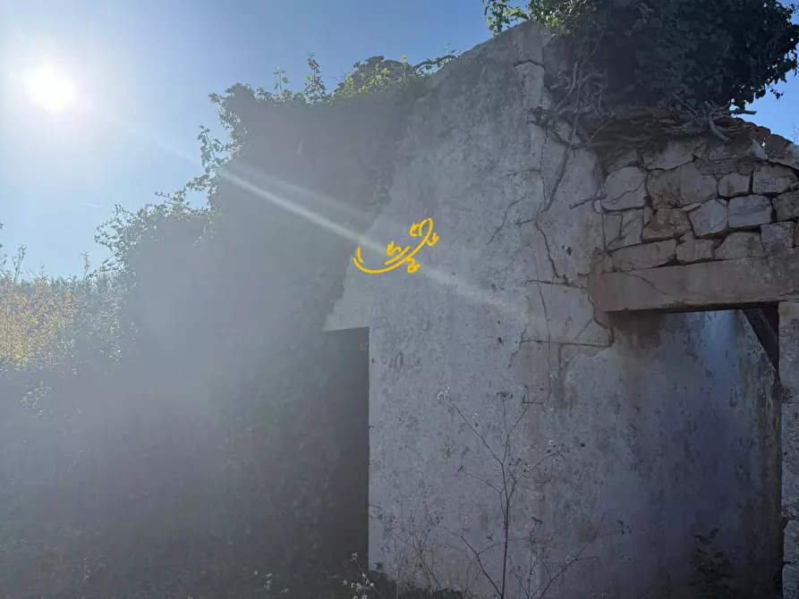 Immagine 20 di Baita in vendita  in Strada Comunale Monte Della Vecchia a Polignano A Mare