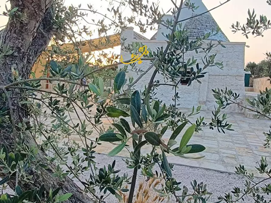 Immagine 4 di Baita in vendita  in Strada Grassitello a Martina Franca