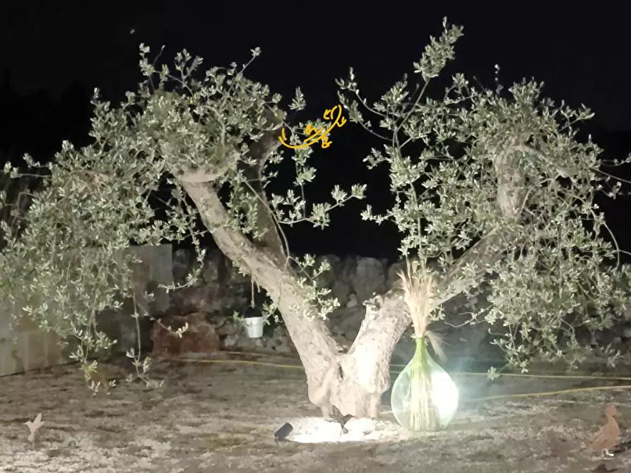 Immagine 8 di Baita in vendita  in Strada Grassitello a Martina Franca