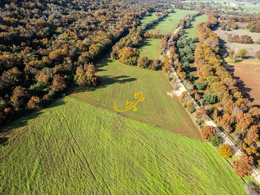 Immagine 42 di Rustico / casale in vendita  in Strada Comunale Barsento a Putignano