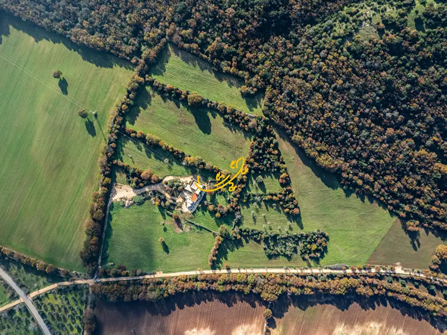 Immagine 43 di Rustico / casale in vendita  in Strada Comunale Barsento a Putignano
