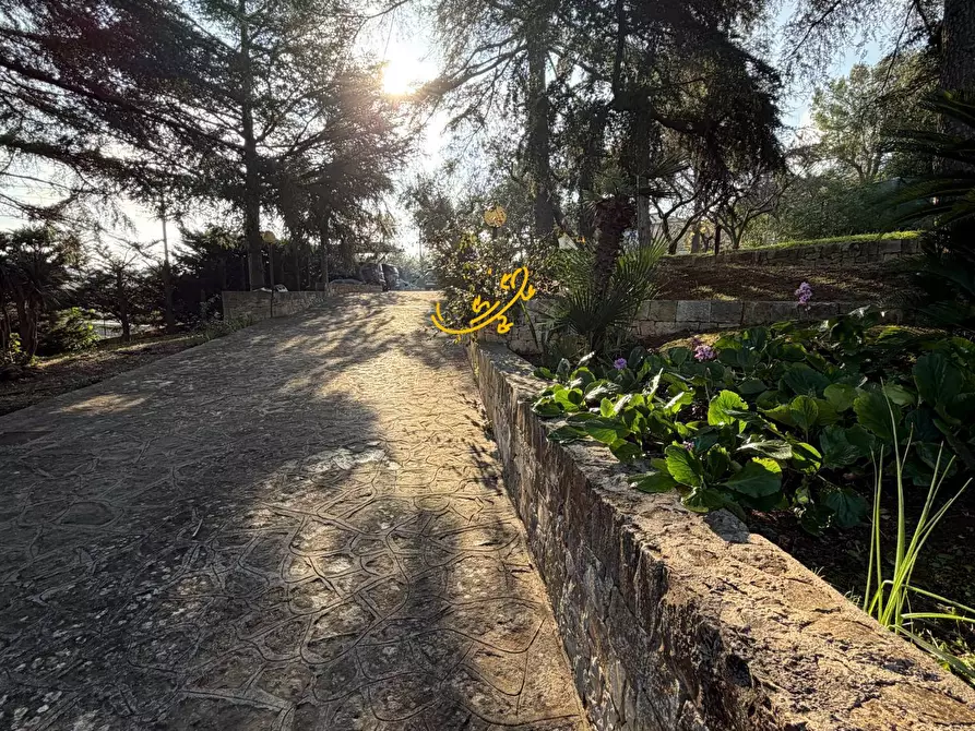 Immagine 4 di Villa in vendita  in Strada Comunale Pozzo dei Cani a Putignano
