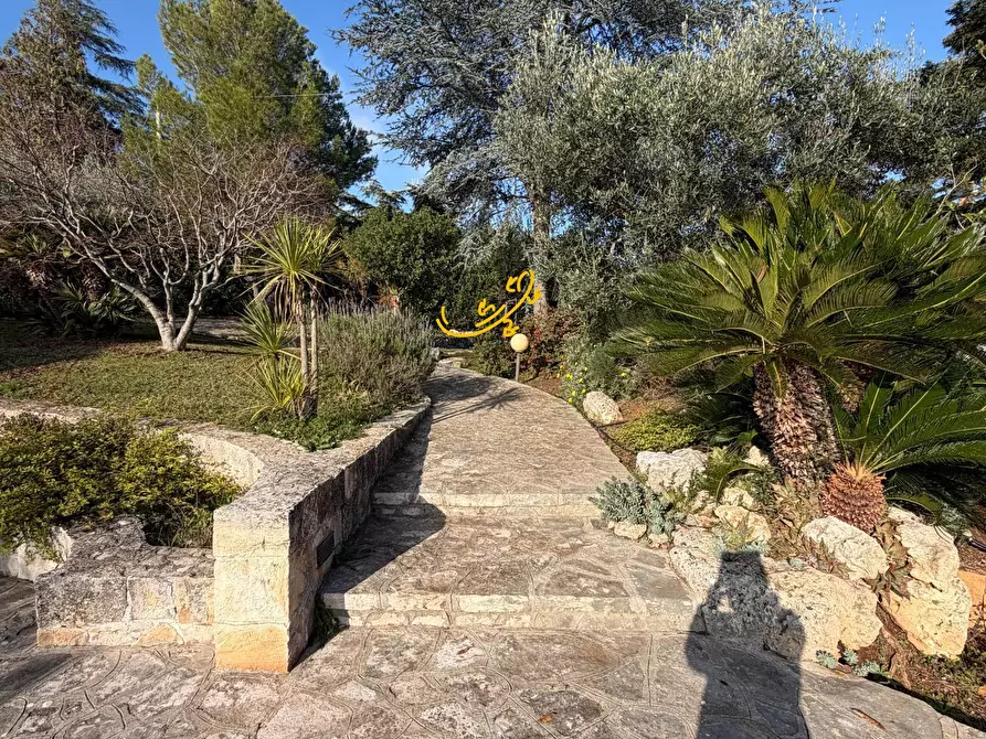 Immagine 6 di Villa in vendita  in Strada Comunale Pozzo dei Cani a Putignano