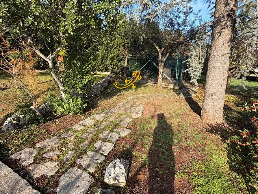Immagine 7 di Villa in vendita  in Strada Comunale Pozzo dei Cani a Putignano