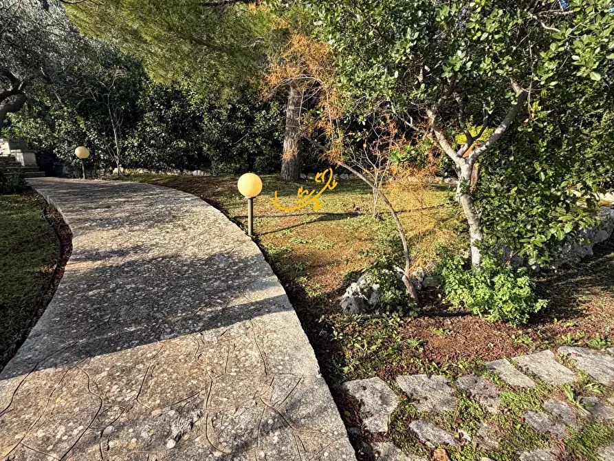 Immagine 8 di Villa in vendita  in Strada Comunale Pozzo dei Cani a Putignano