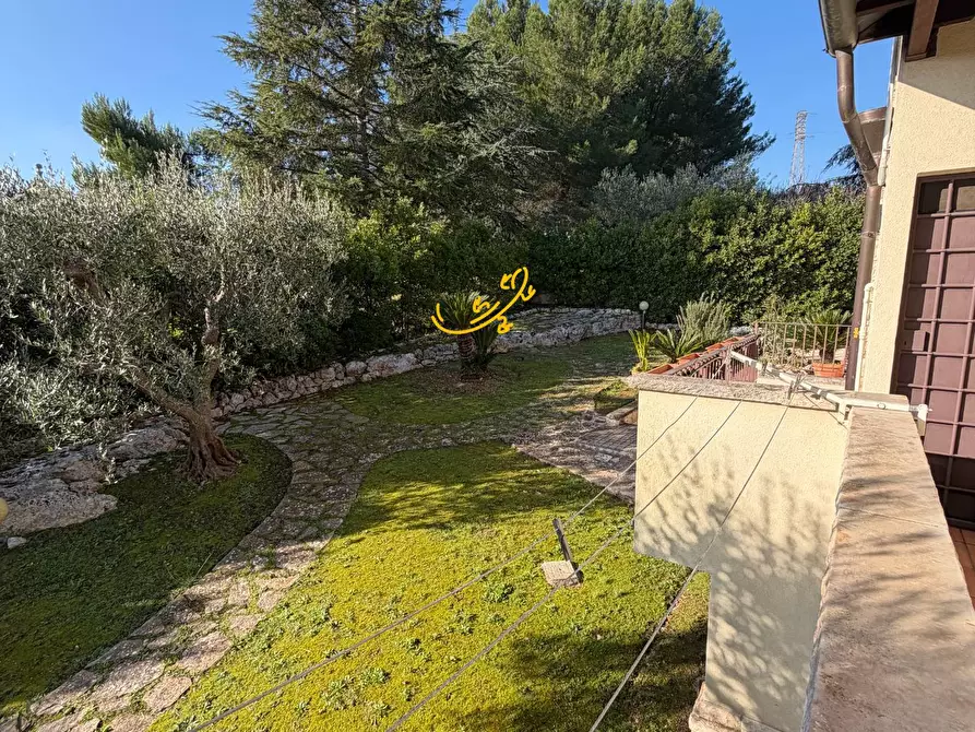 Immagine 39 di Villa in vendita  in Strada Comunale Pozzo dei Cani a Putignano