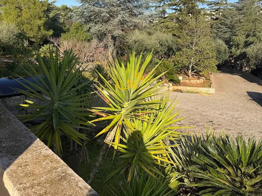 Immagine 42 di Villa in vendita  in Strada Comunale Pozzo dei Cani a Putignano