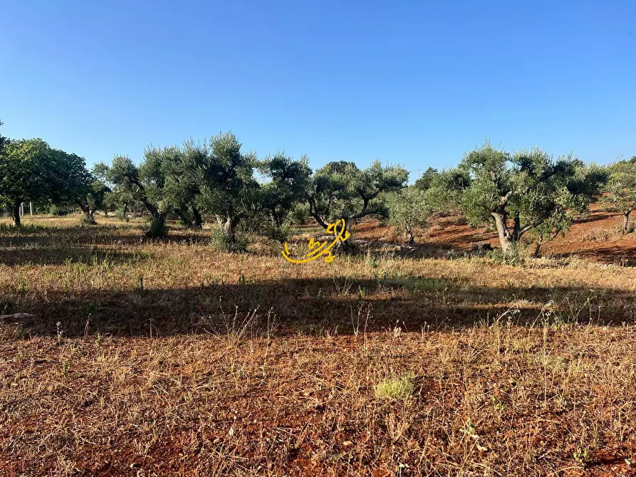 Immagine 2 di Baita in vendita  in Str. Capo di Gallo Zippo a Martina Franca